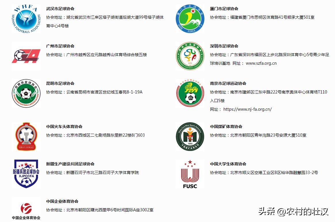 国内专业足球比赛,国内踢球怎么参加比赛