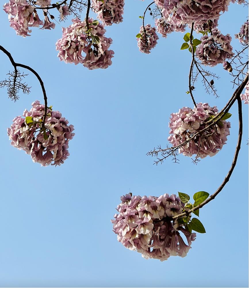 无锡宜兴旅游攻略亲子游,宜兴无锡旅游