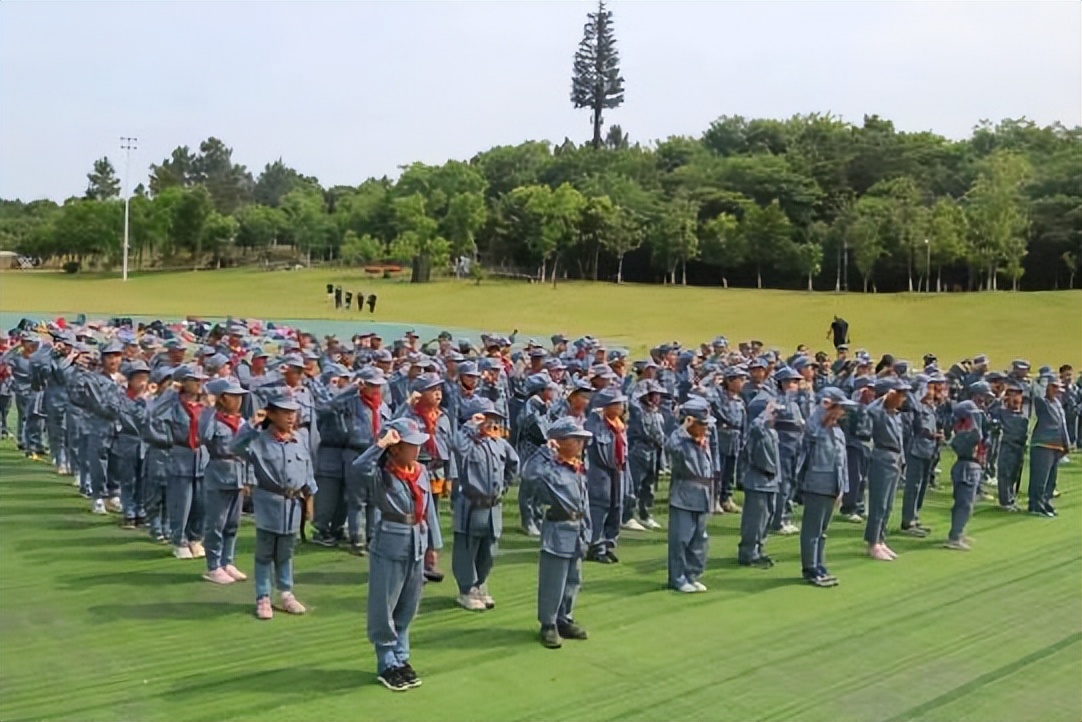 南京比较好的小学学校有哪些,南京最好的小学学校
