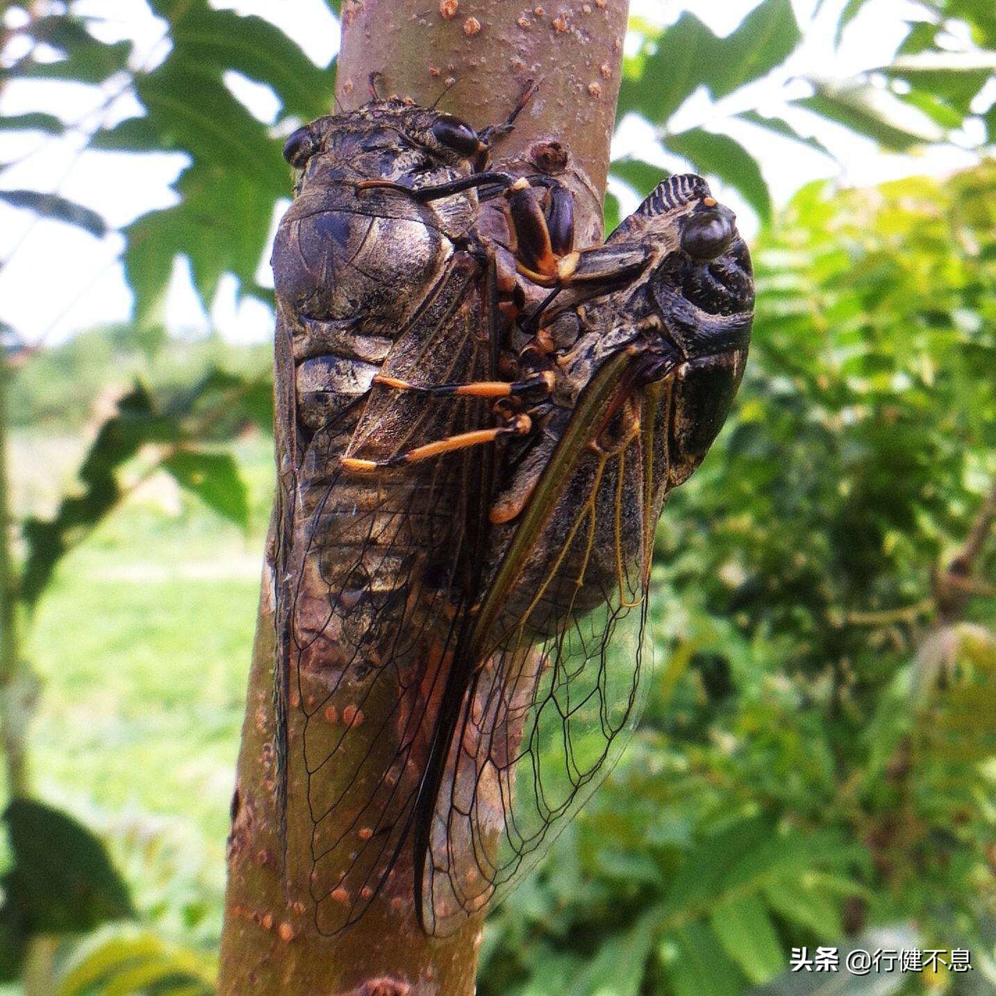 经典咏柳宋词,关于咏柳著名诗句及其赏析