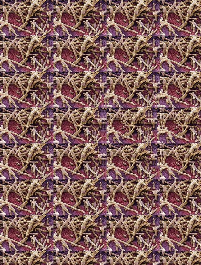 朋友网购收到一条坏的裤子，找客服后被质疑