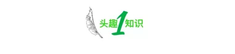 送卫生巾事件,送卫生巾被骂