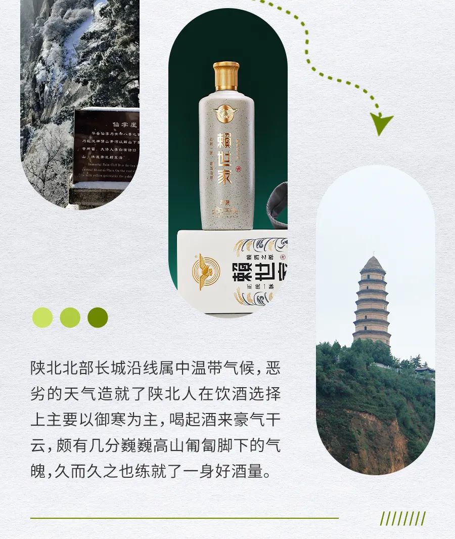 老陕的套路竟然这么深！？【陕西酒文化】