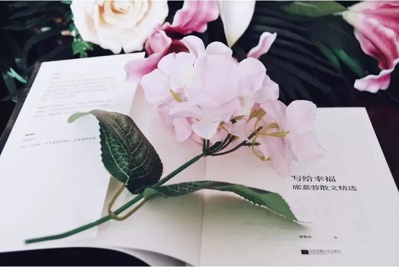 心静淡雅的句子朗读,静心享受生活诵读