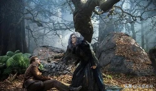 黑暗森林中的奇幻冒险,魔法黑森林看法