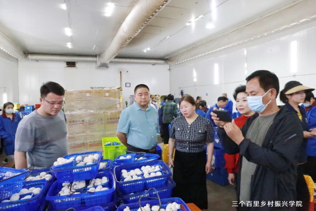 郑州延津商会赴上海学习考察乡村振兴项目