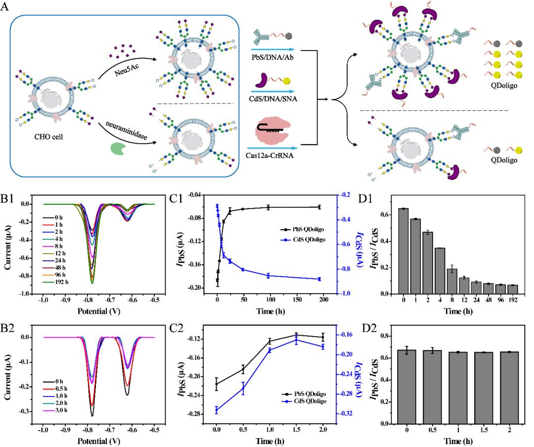 电化学治疗肿瘤,电化学治疗肿瘤事例