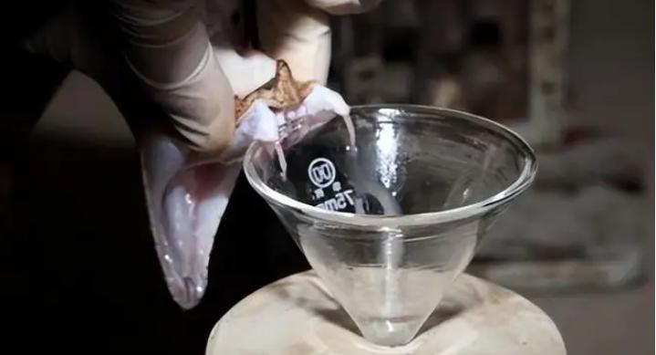 月薪300的外贸员，靠蛇毒身家暴涨50亿，美国人送悍马只为讨好她