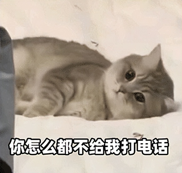 人在外地,却接到深圳的挪车电话?她打“83333333”解决了!