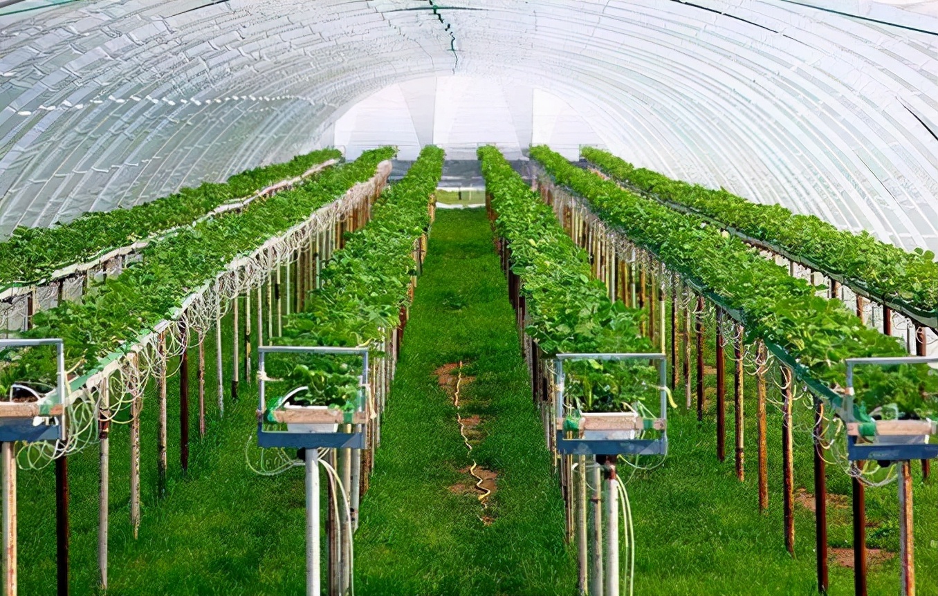 以色列一个小国为啥那么厉害,弹丸小国以色列没人打得过吗