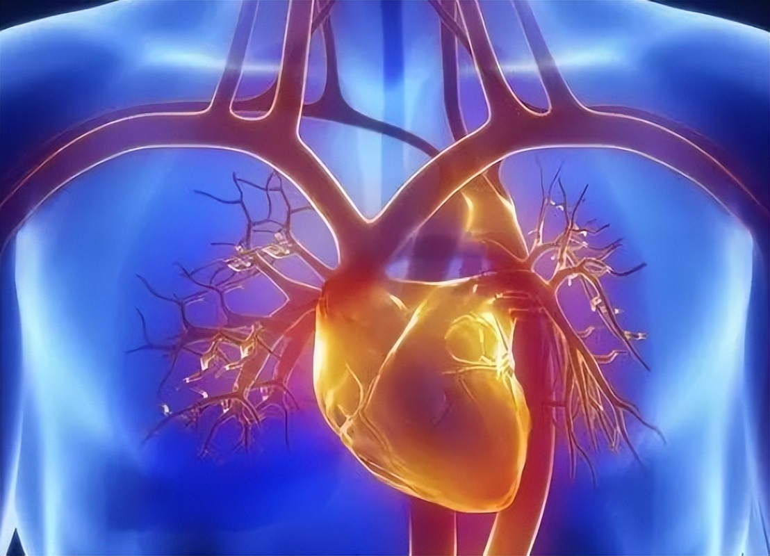 氯吡格雷可以长期替代阿司匹林吗,阿司匹林和氯吡格雷有替代品吗