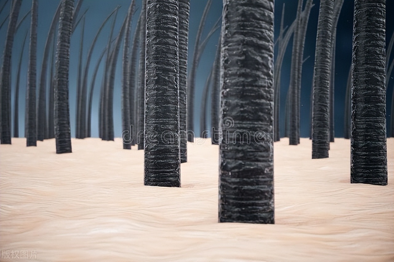 白发的原因及预防方法,导致白发的因素有哪些