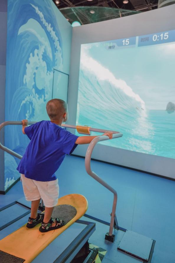 冬天厦门观鸟旅游,厦门大自然小朋友玩的地方推荐