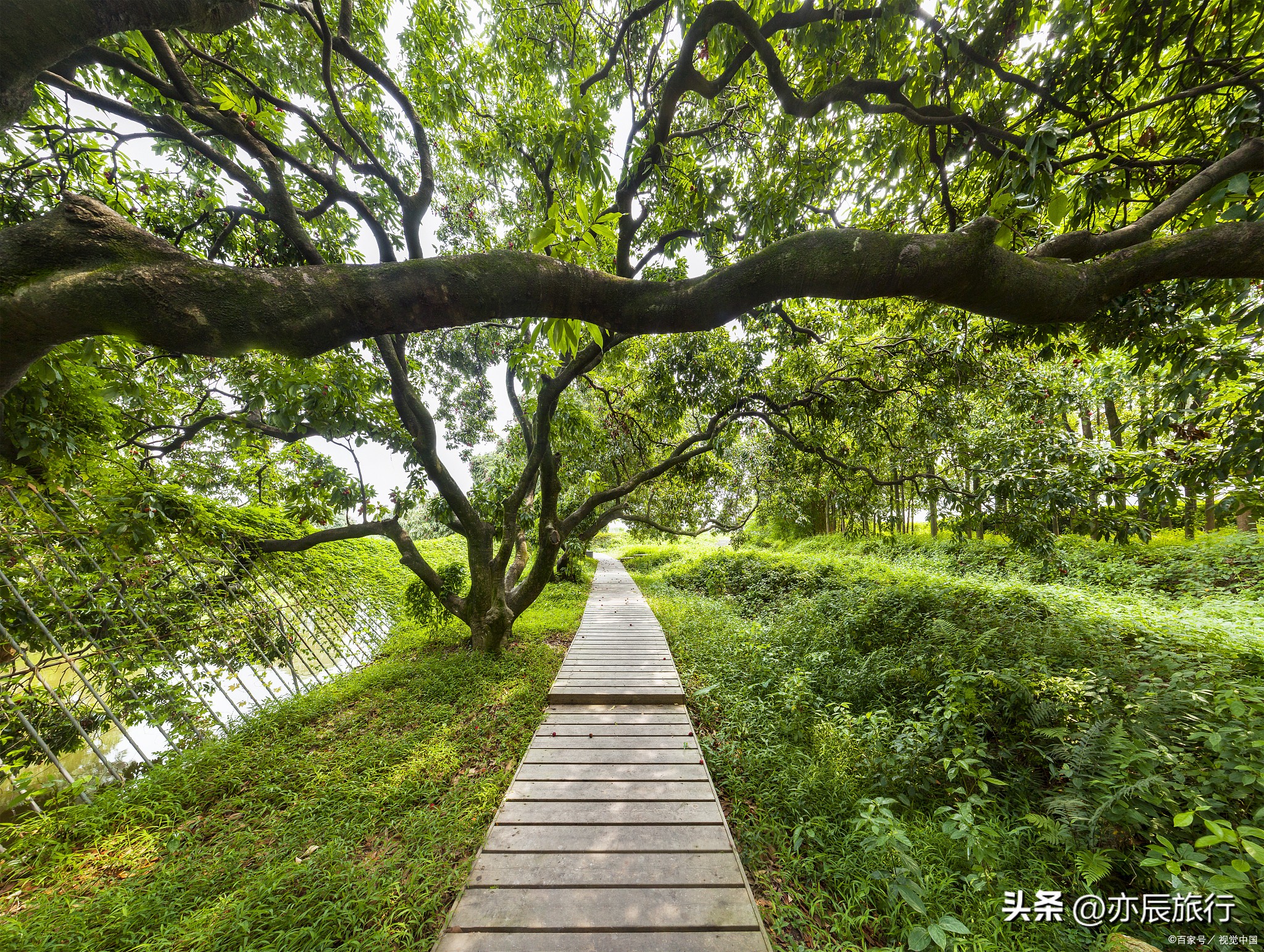 绍兴嵊州避暑好去处,绍兴附近避暑好玩的地方