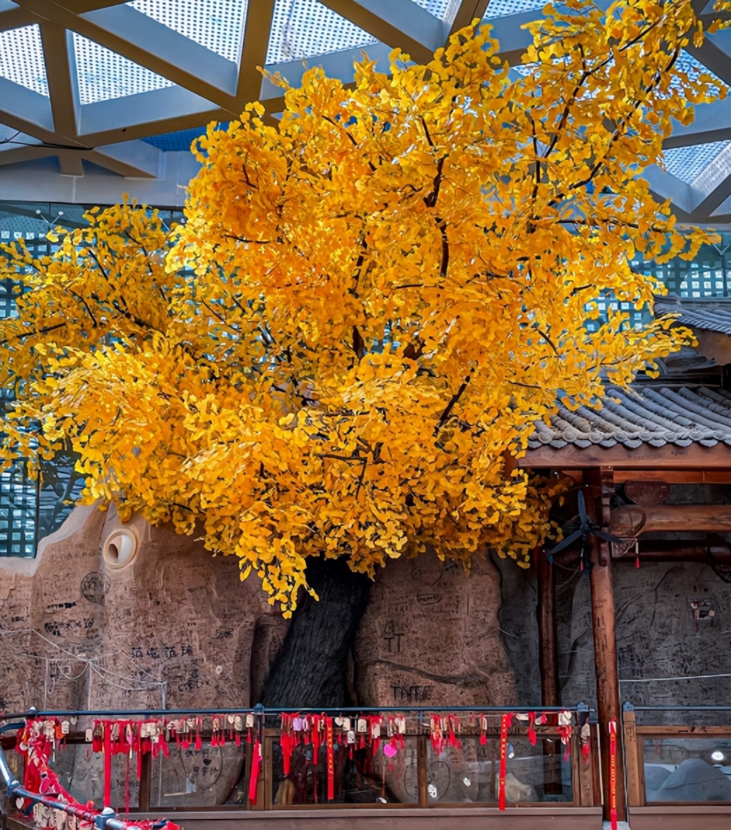 长春网红打卡地美食,长春网红打卡地