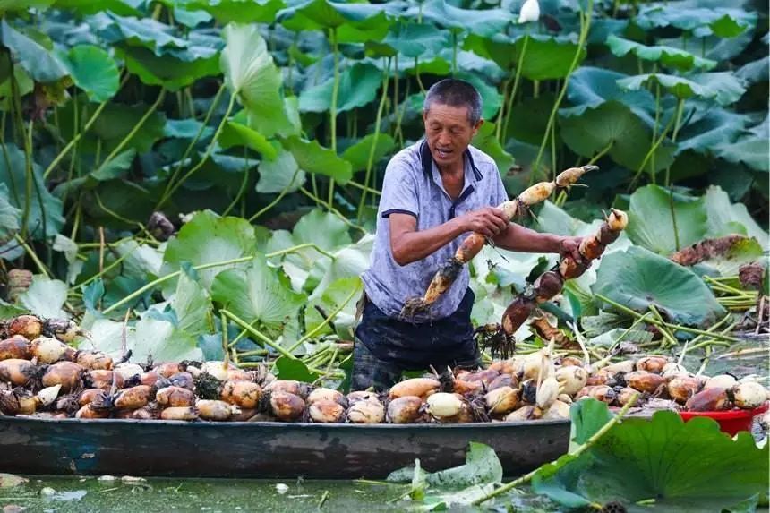 清远古龙峡两日一夜自驾游攻略,清远古龙峡附近2天攻略