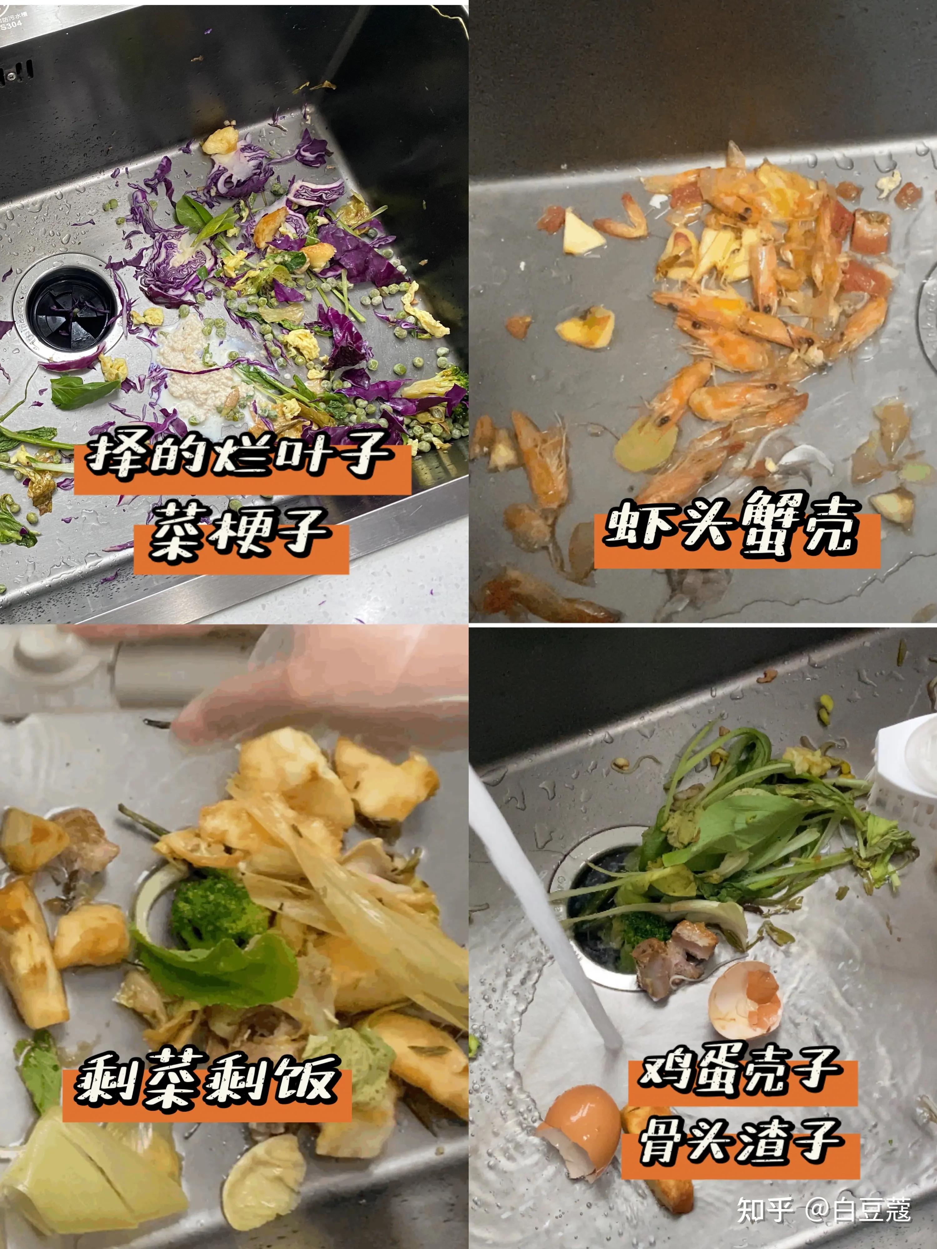 厨房垃圾滋生蚊虫怎么办,怎样避免产生厨余垃圾