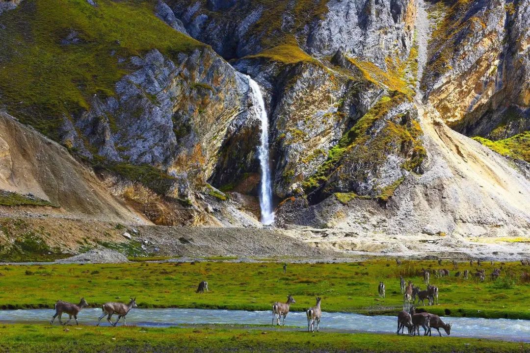 藏西风景,藏西美景视频大全