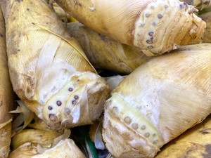 冬笋的保存方法视频,冬笋的保存方式