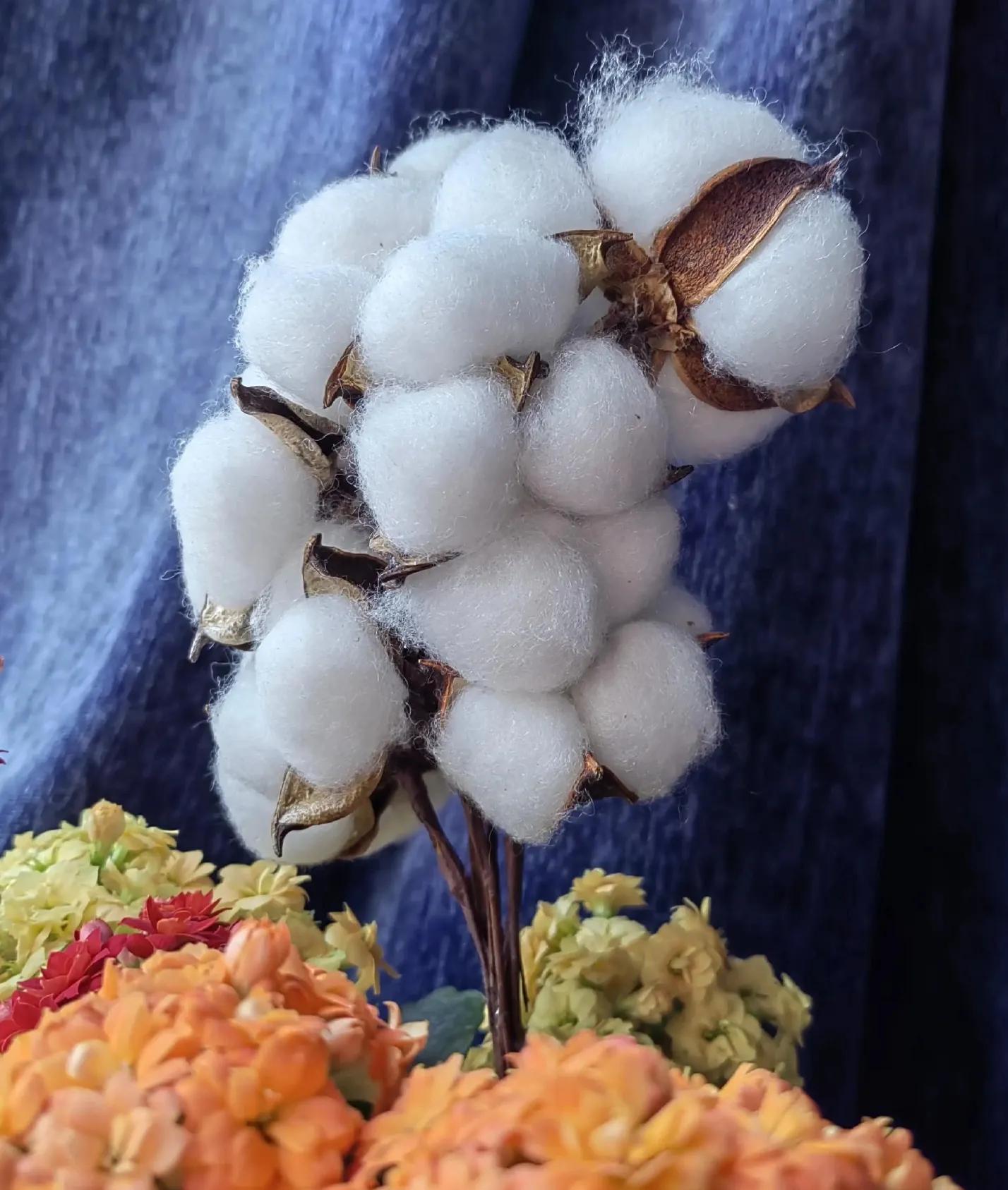 似花还似非花,辨别真假需慧眼