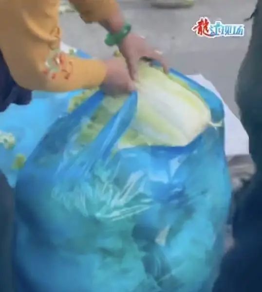 东北人冬天买白菜,盘点东北人买白菜