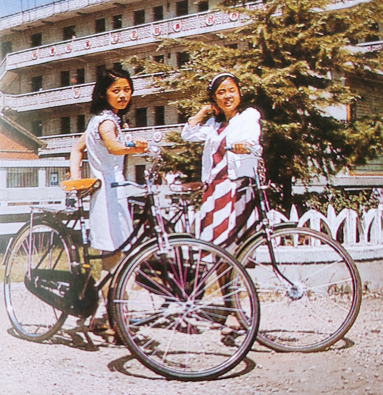 大武汉系列之264：武汉自行车一厂