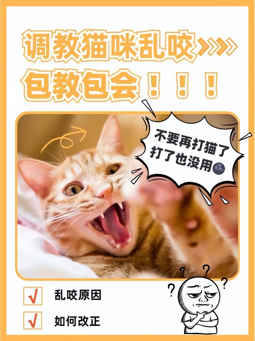 猫咪为什么突然疯了一样的咬东西,猫咪总咬东西是什么原因
