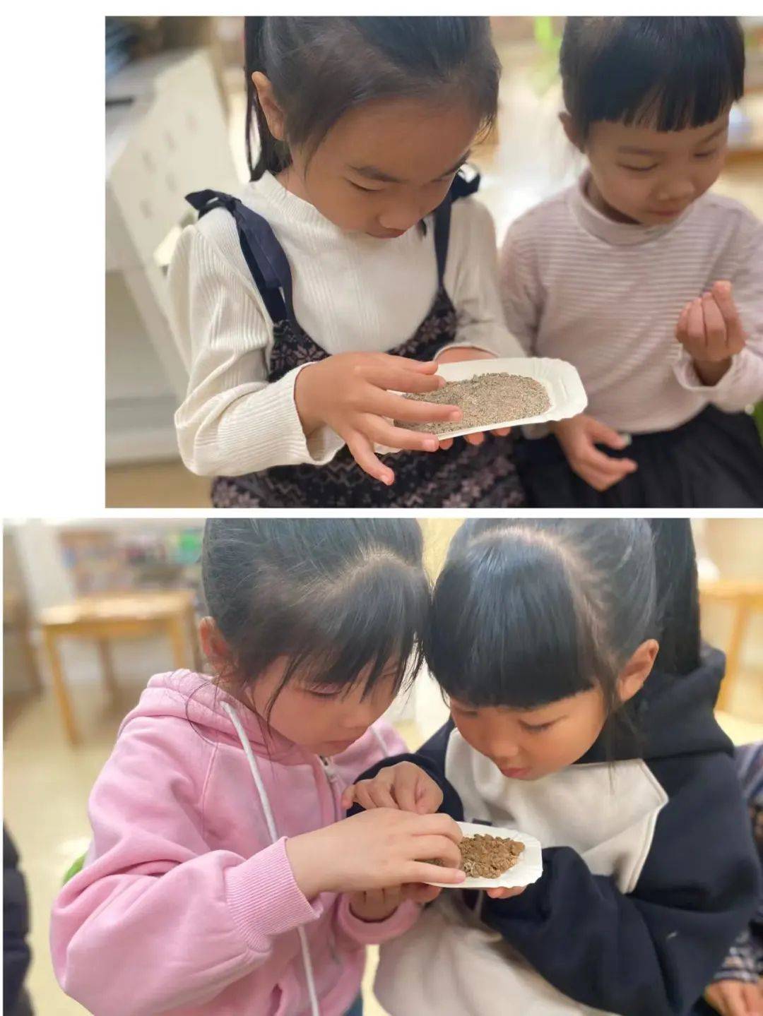 科学探索幼儿园小实验,建德诺亚舟幼儿园