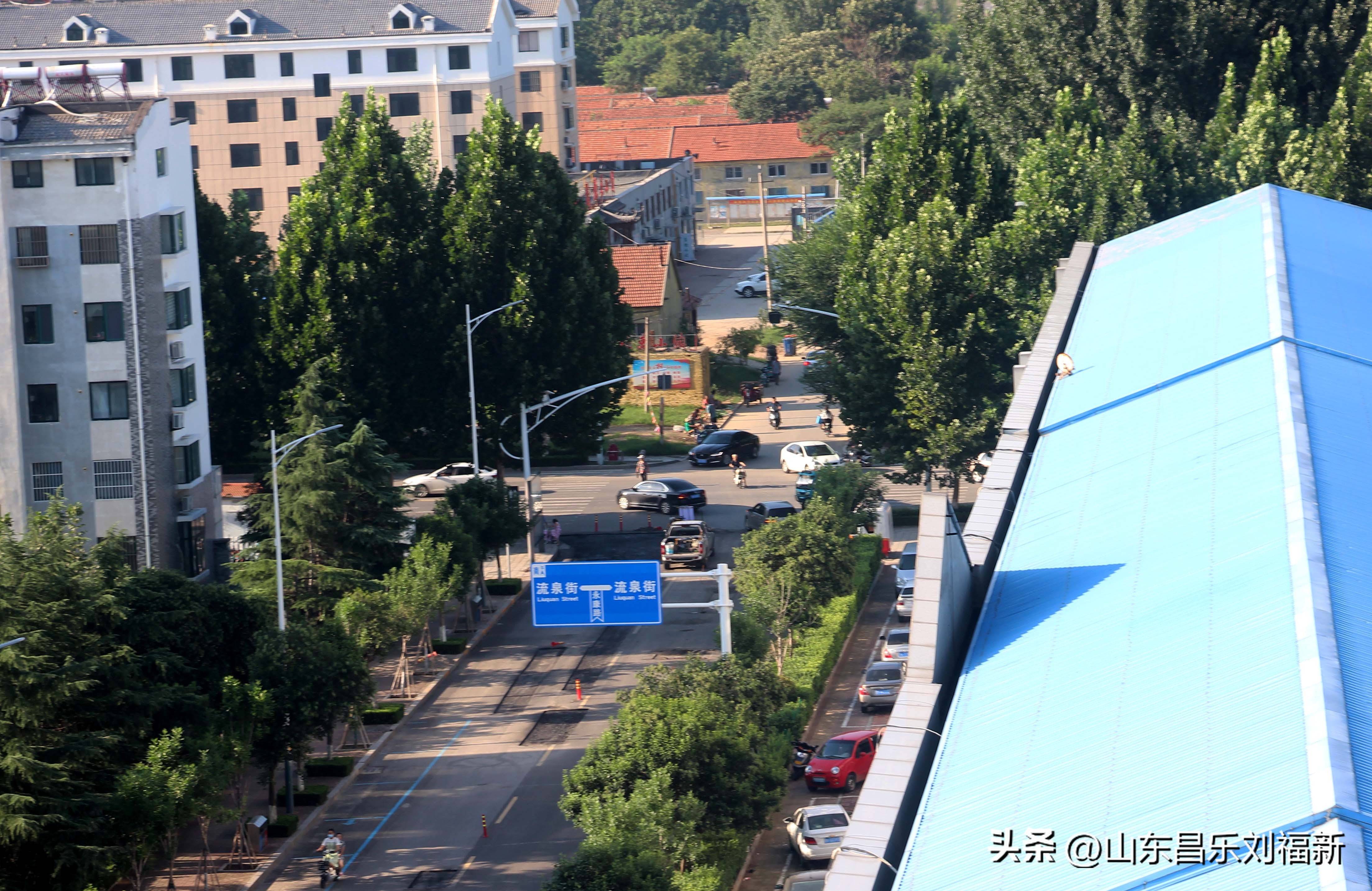 意大利蜻蜓和红蜻蜓,红蜻蜓与台湾红蜻蜓