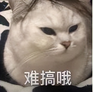 抖音小店低价引流s单,实体店抖音低价引流