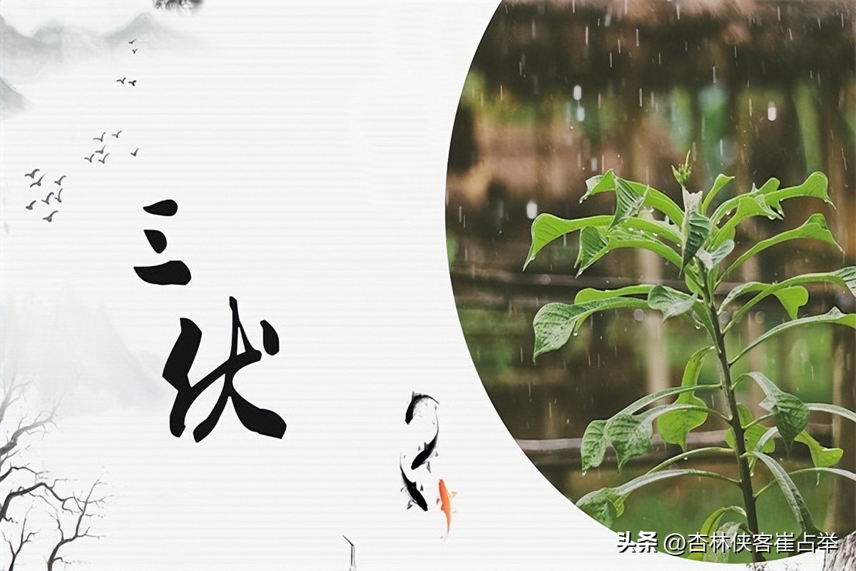 冬病夏治，抓住三伏尾，解读一个中成药，逼出关节里的风、寒、湿