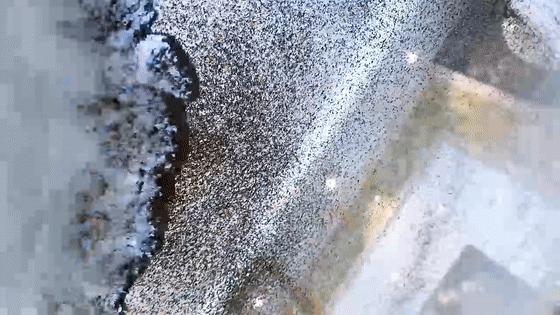 家里总是有灰尘毛絮用什么擦除,家里老是有毛毛灰怎么清除干净