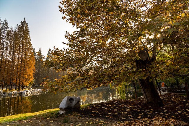 大的地产公司,大的地产公司有哪些