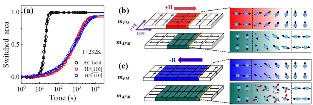 复旦团队发表研究成果,复旦大学最新科研消息