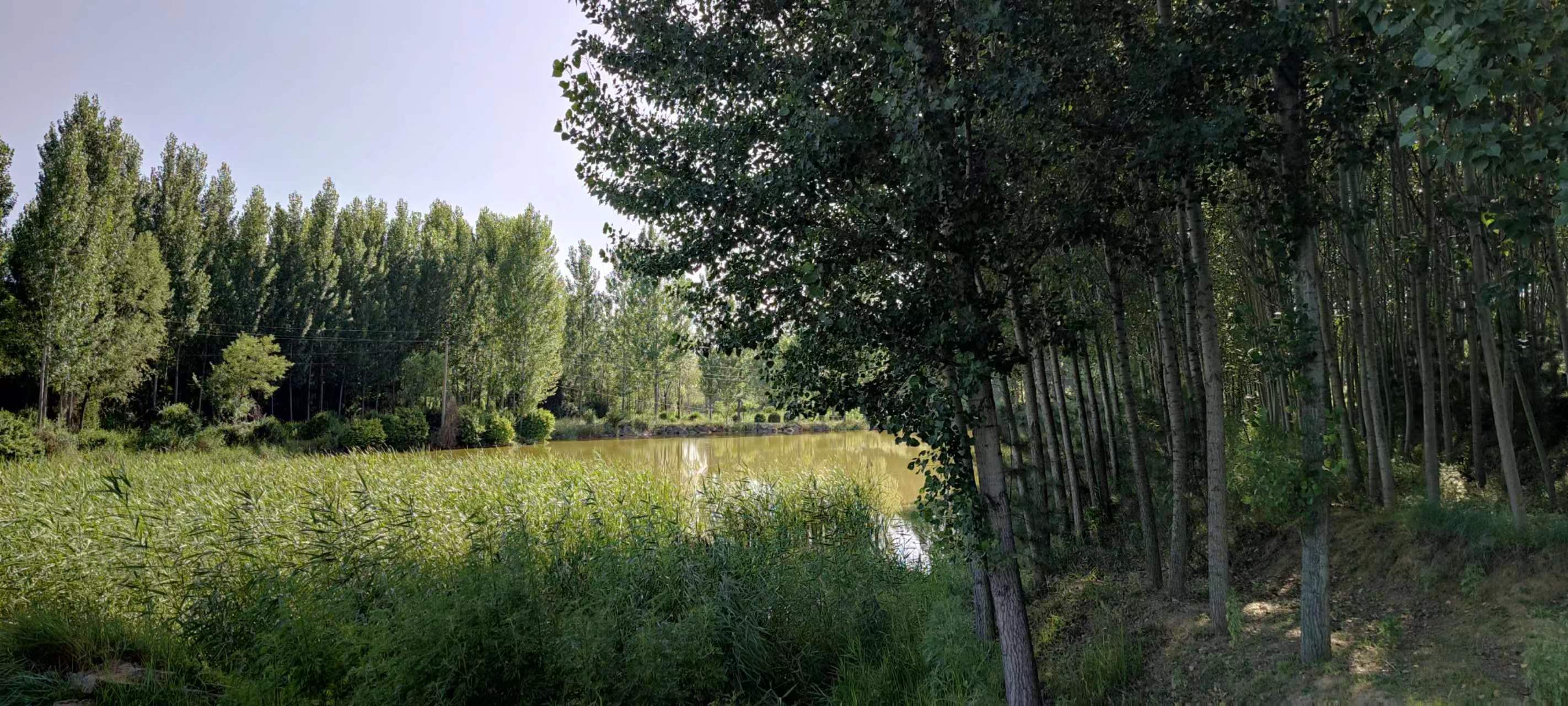 古中国考出彭蠡泽｜张笔魁