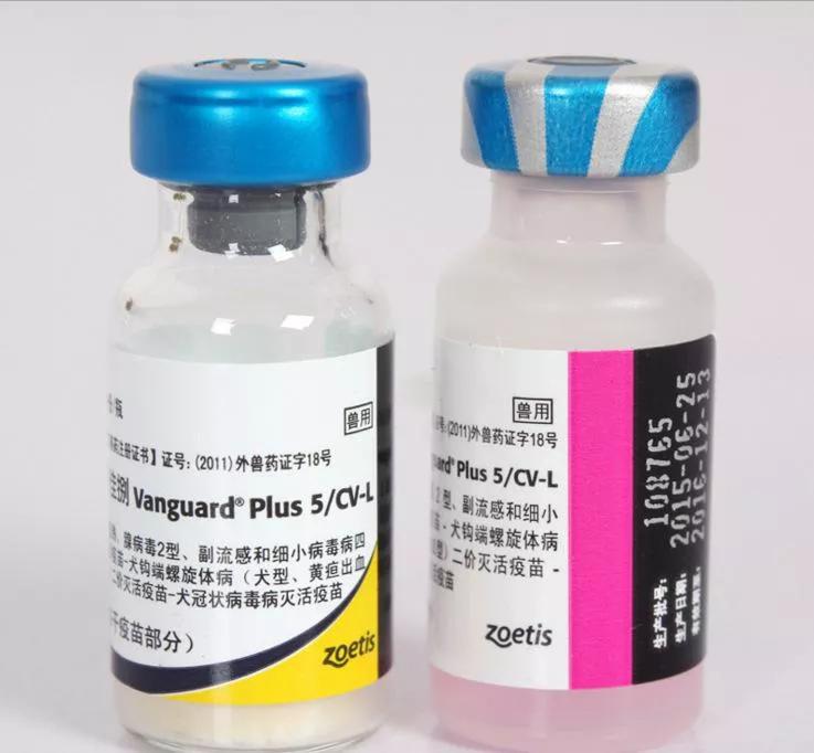 农村人买狗注意事项,农村狗市买狗注意事项