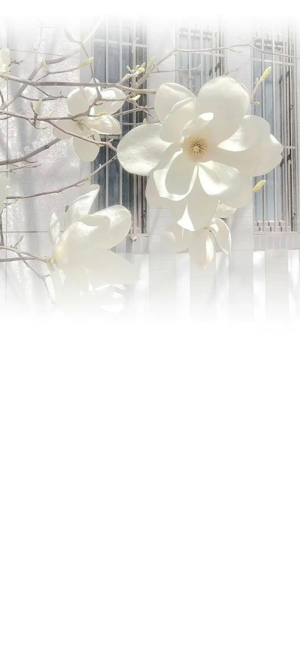 微信聊天背景渐变图,聊天背景壁纸图片彩色渐变