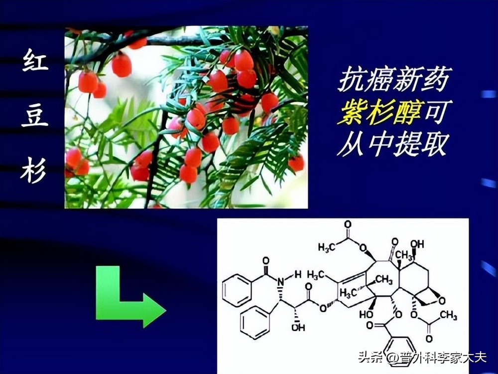 中医治疗癌症靠谱吗,中医治疗癌症第一人