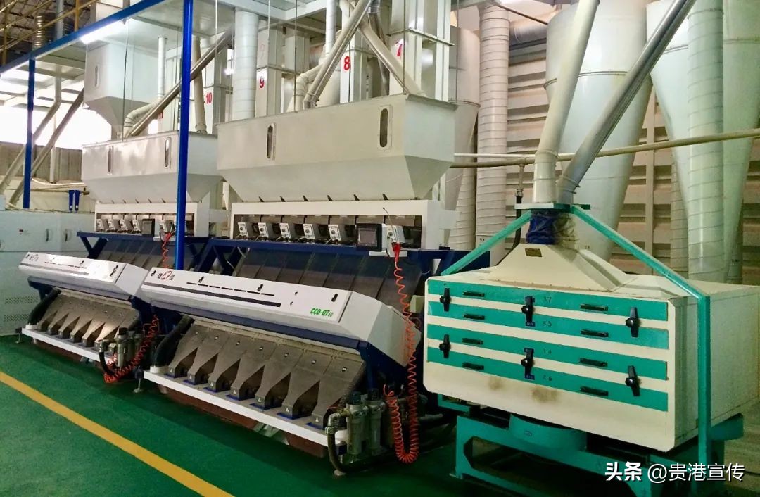 贵港超亿元企业,贵港有没有产值一百亿元的企业