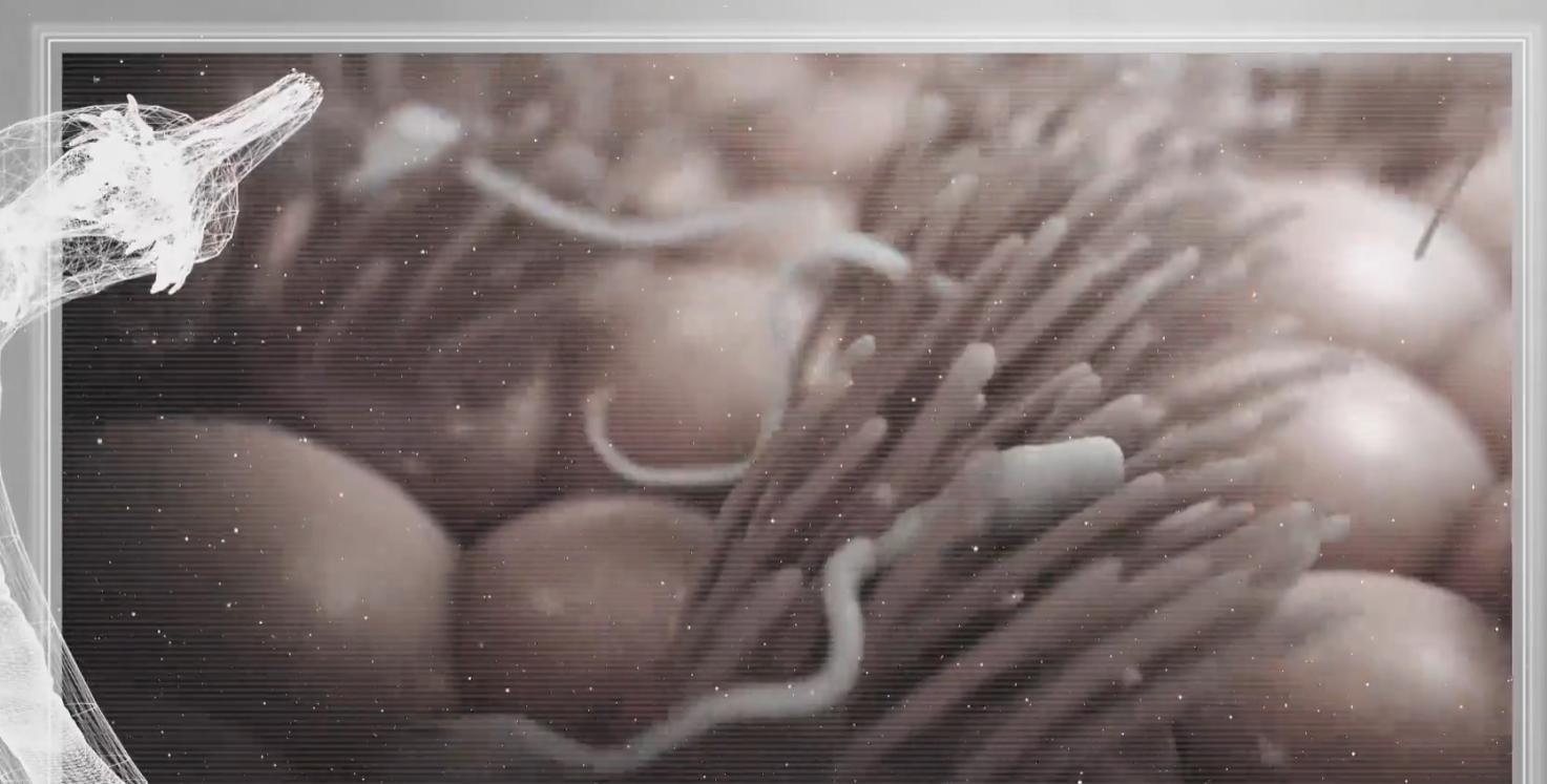 精子进入人体1小时变化,精子进入人体24小时变化