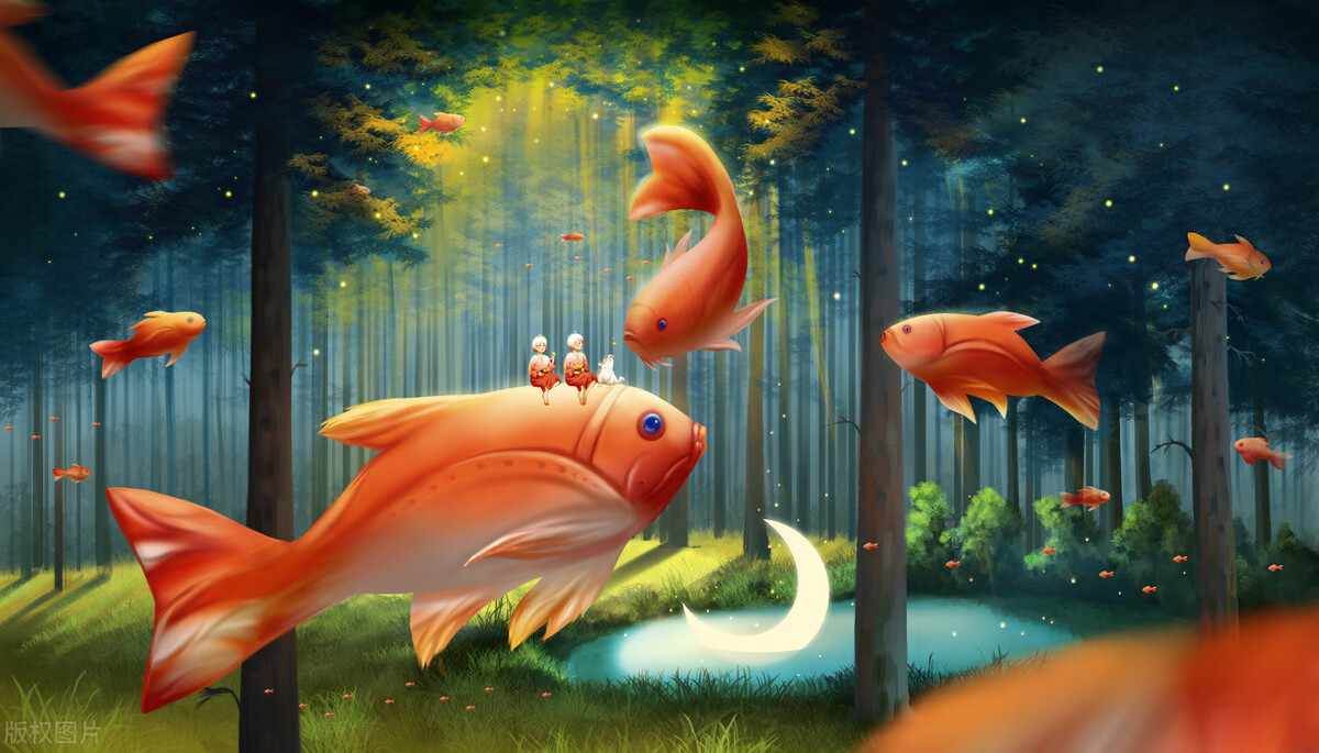 探索财富森林：神秘投资树带来的惊喜