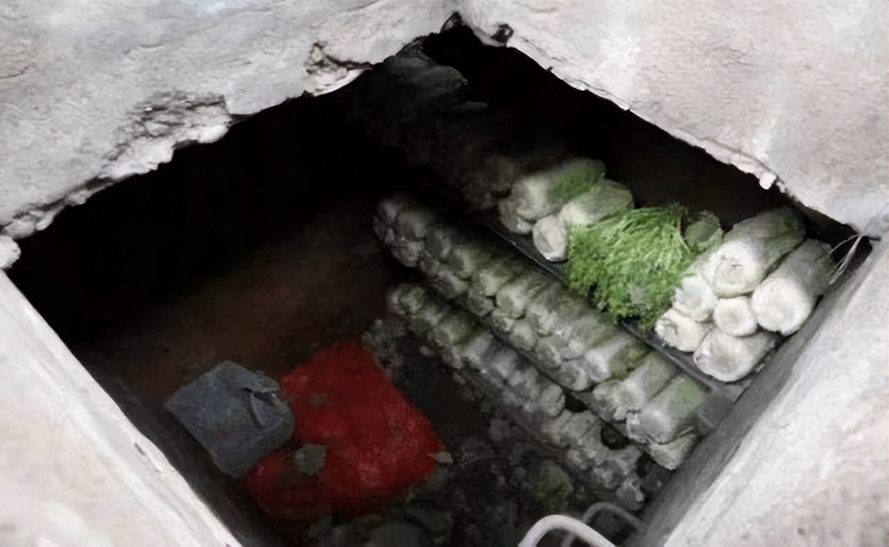 方言撷取|黄县话“他窖儿两窖儿萝卜”，外地人还真听不懂