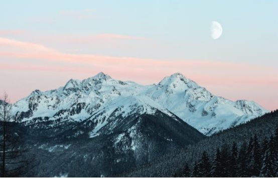 自媒体运营工具app,自媒体运营网站