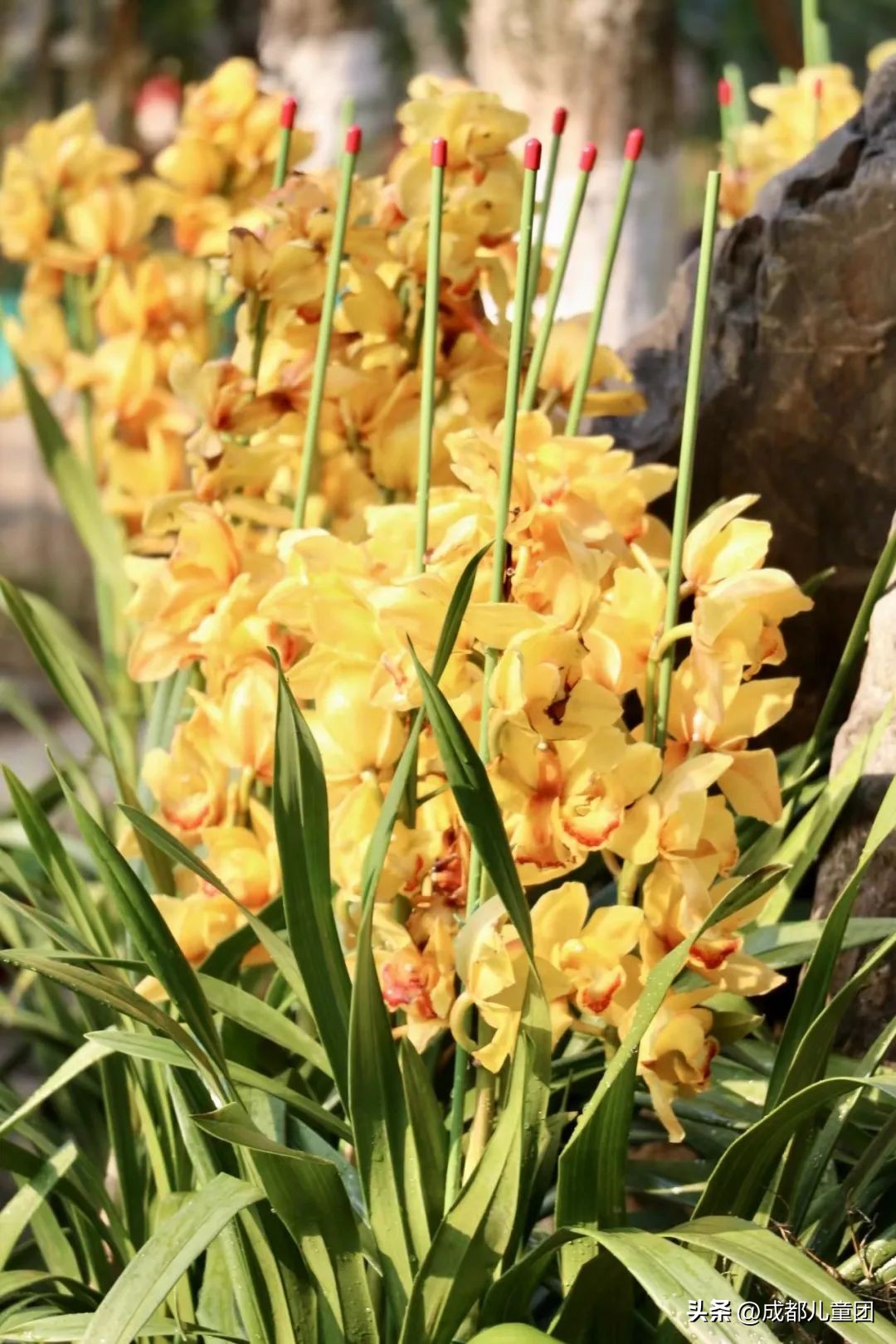 地铁3号线能到的美景地方,一号线地铁直达的风景