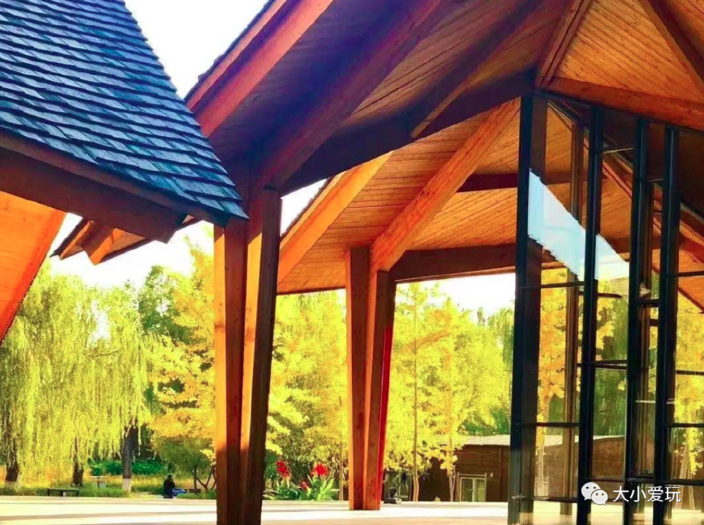 周末来袭快看看可以游玩的好去处 (游玩攻略这些地方你一定要看一看)