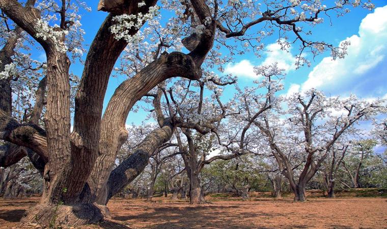 常新常玩！“云旅游”促区域文旅产业“营销”变“赢销”