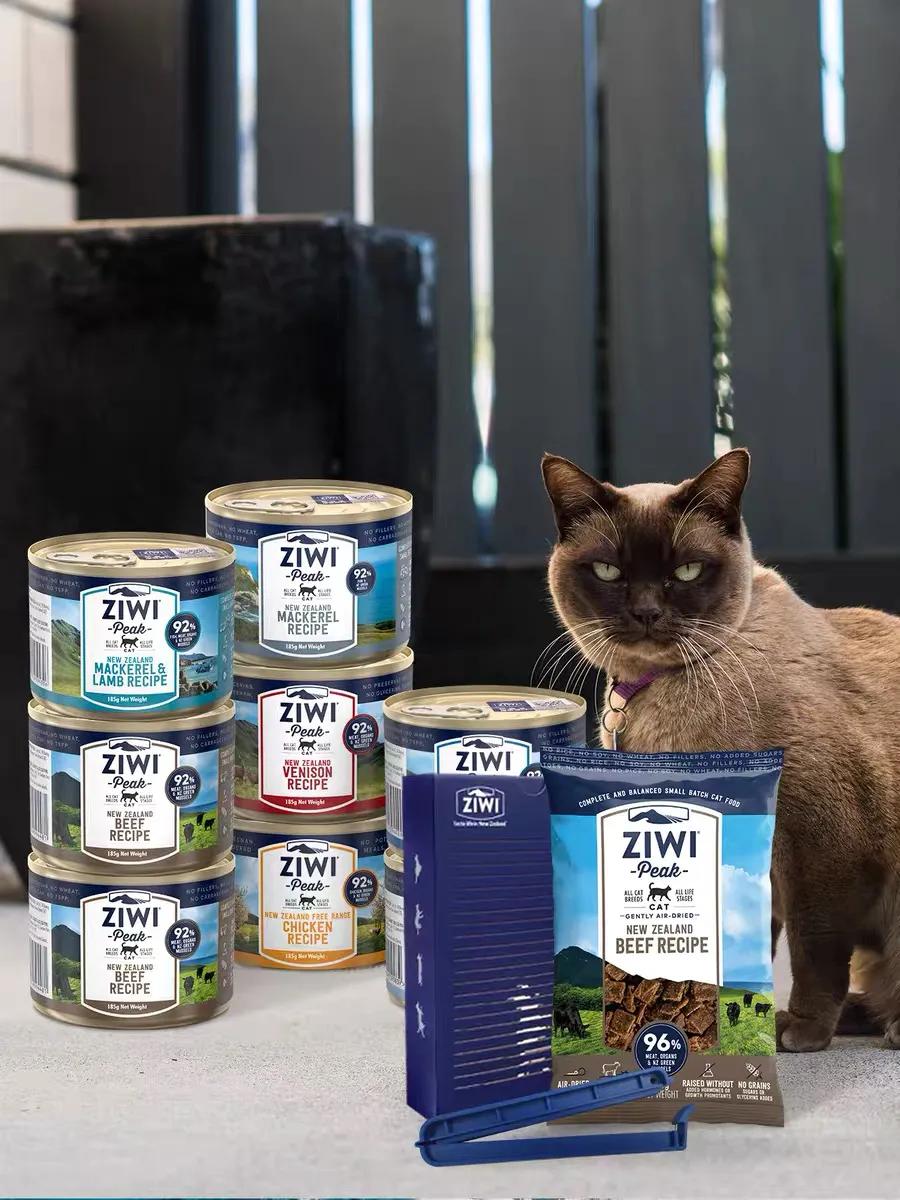 新手养猫小白必看,养猫必看的10条干货