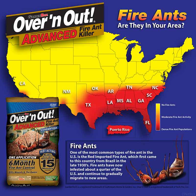 红火蚁咬伤人事件,小孩被红火蚁咬死亡