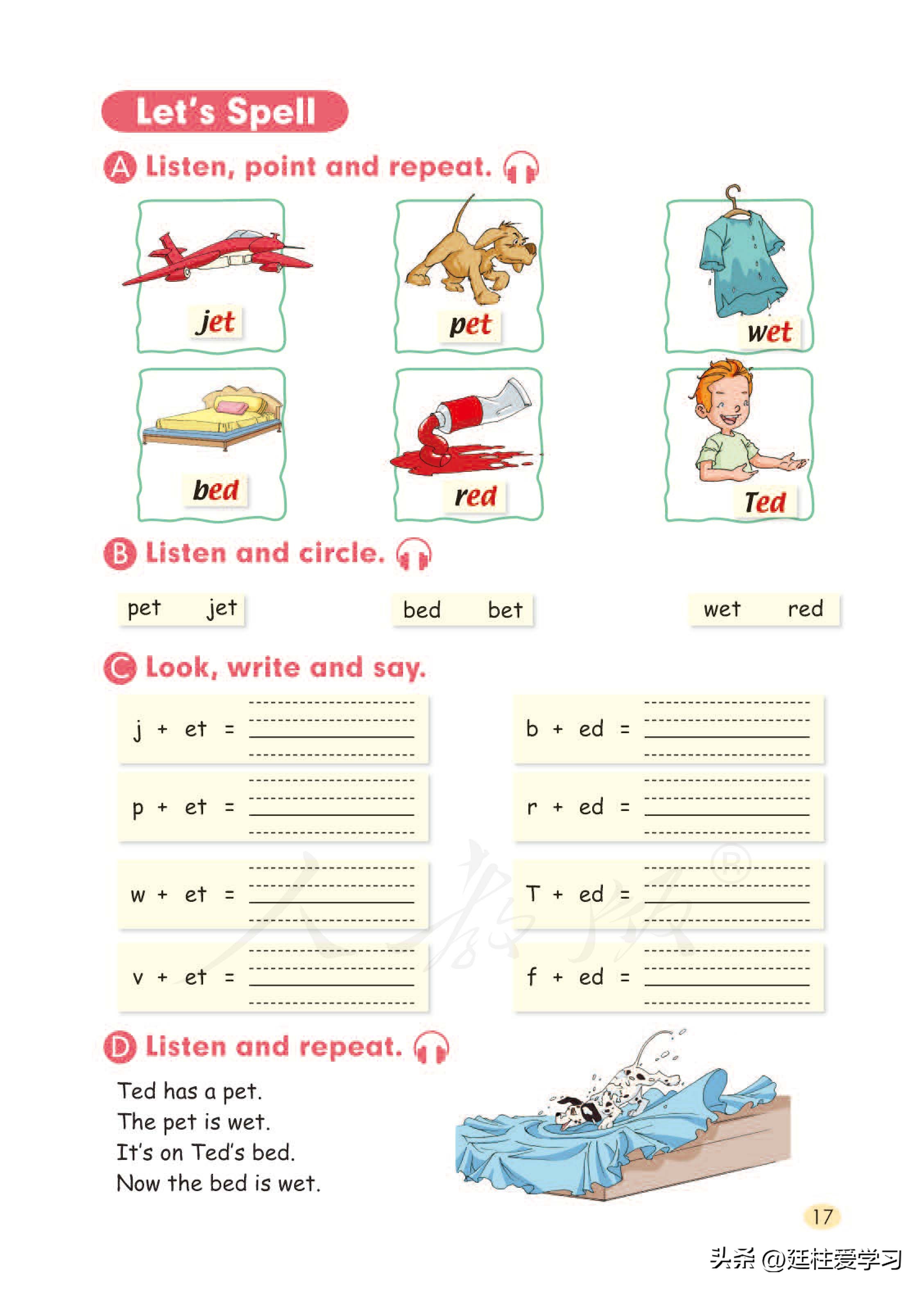小学英语外研版三年级上册,小学英语精通版三年级上册