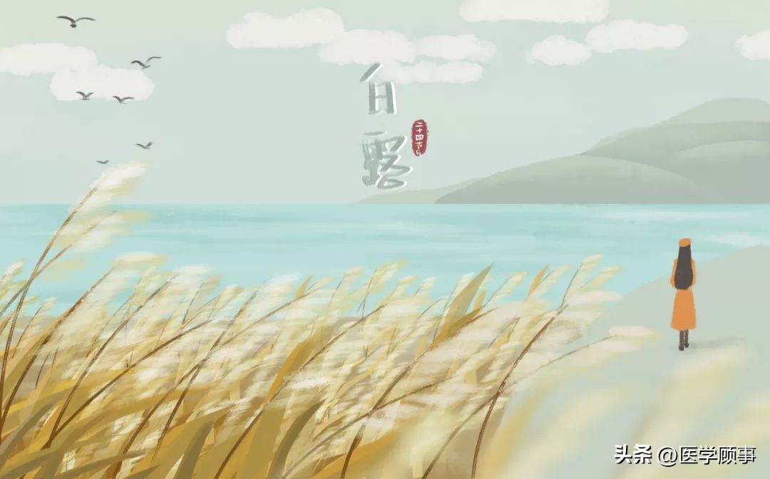 蒹葭苍苍白露为霜是写白露的吗,蒹葭苍苍白露为霜的白露是节气么